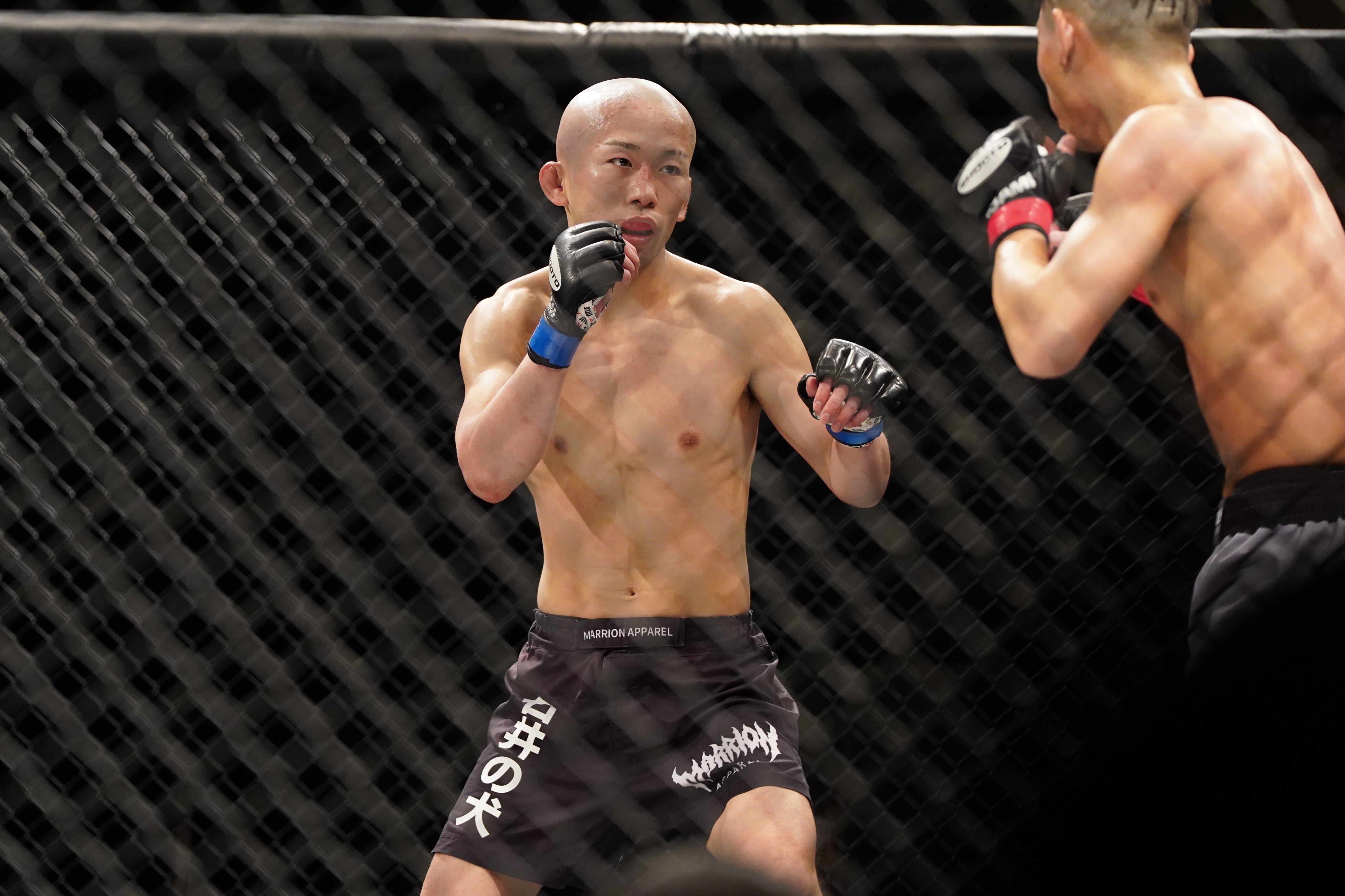 プロ修斗福岡大会 TORAO32情報（2024年5月26日）｜Gigio