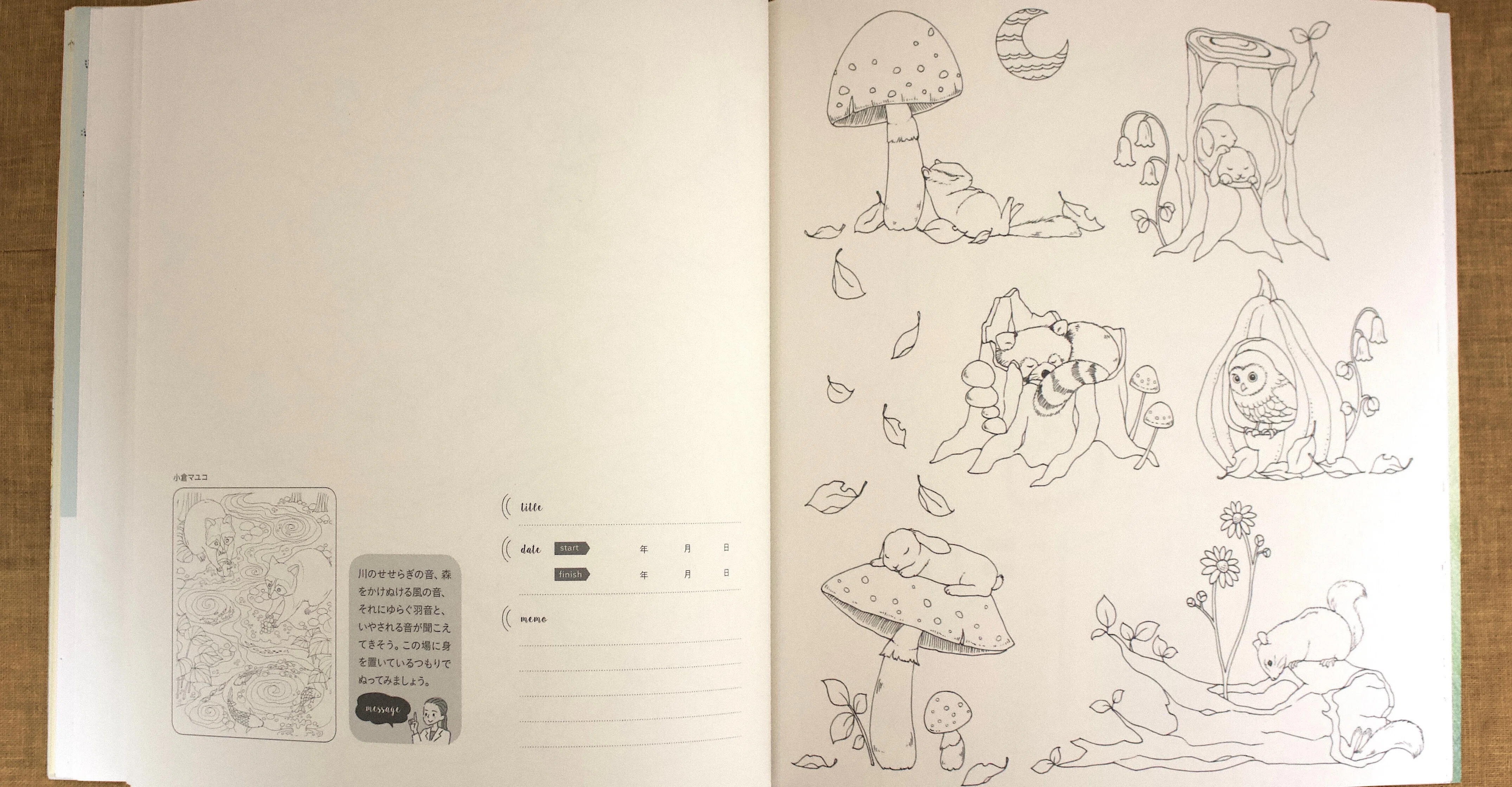 ぬり絵やったら楽し過ぎて沼-2🐿️『ぐっすり眠れる不思議なぬり絵