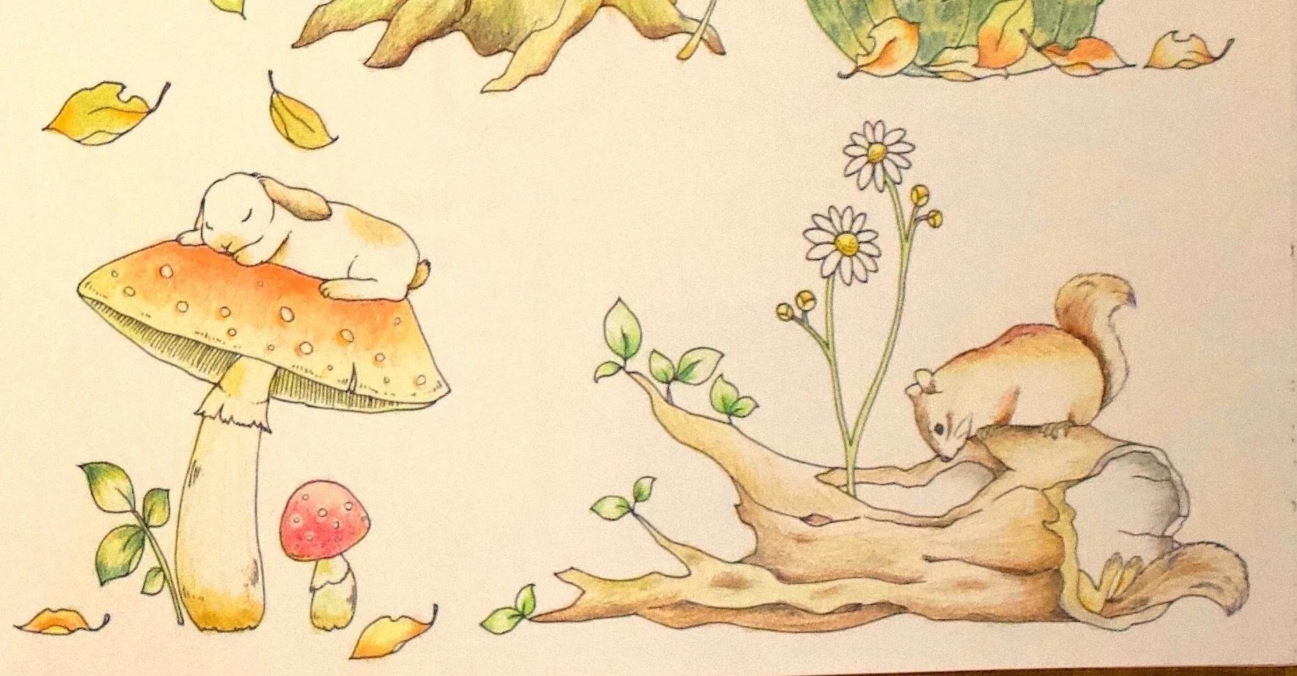 ぬり絵やったら楽し過ぎて沼-2🐿️『ぐっすり眠れる不思議なぬり絵