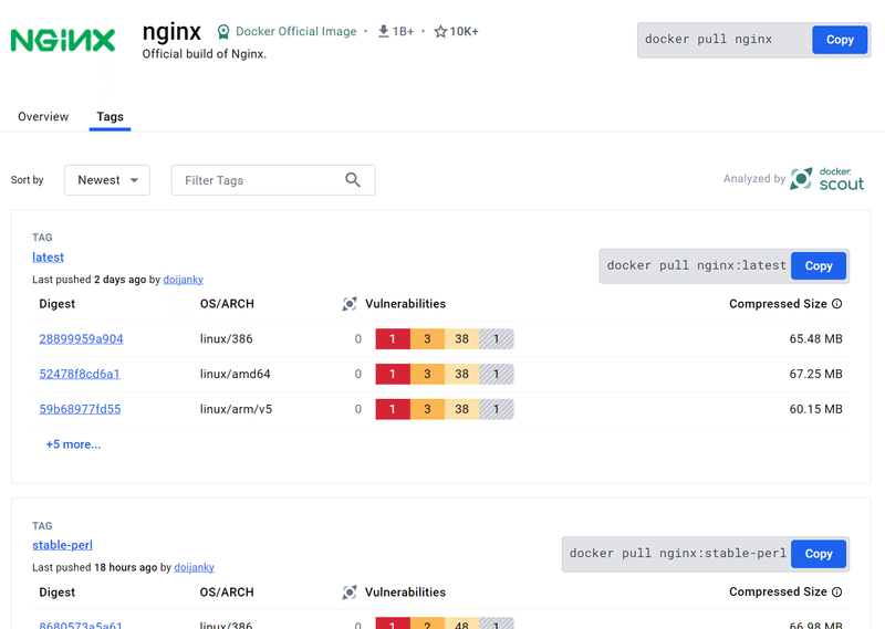 Docker Hub で NGINX のページ