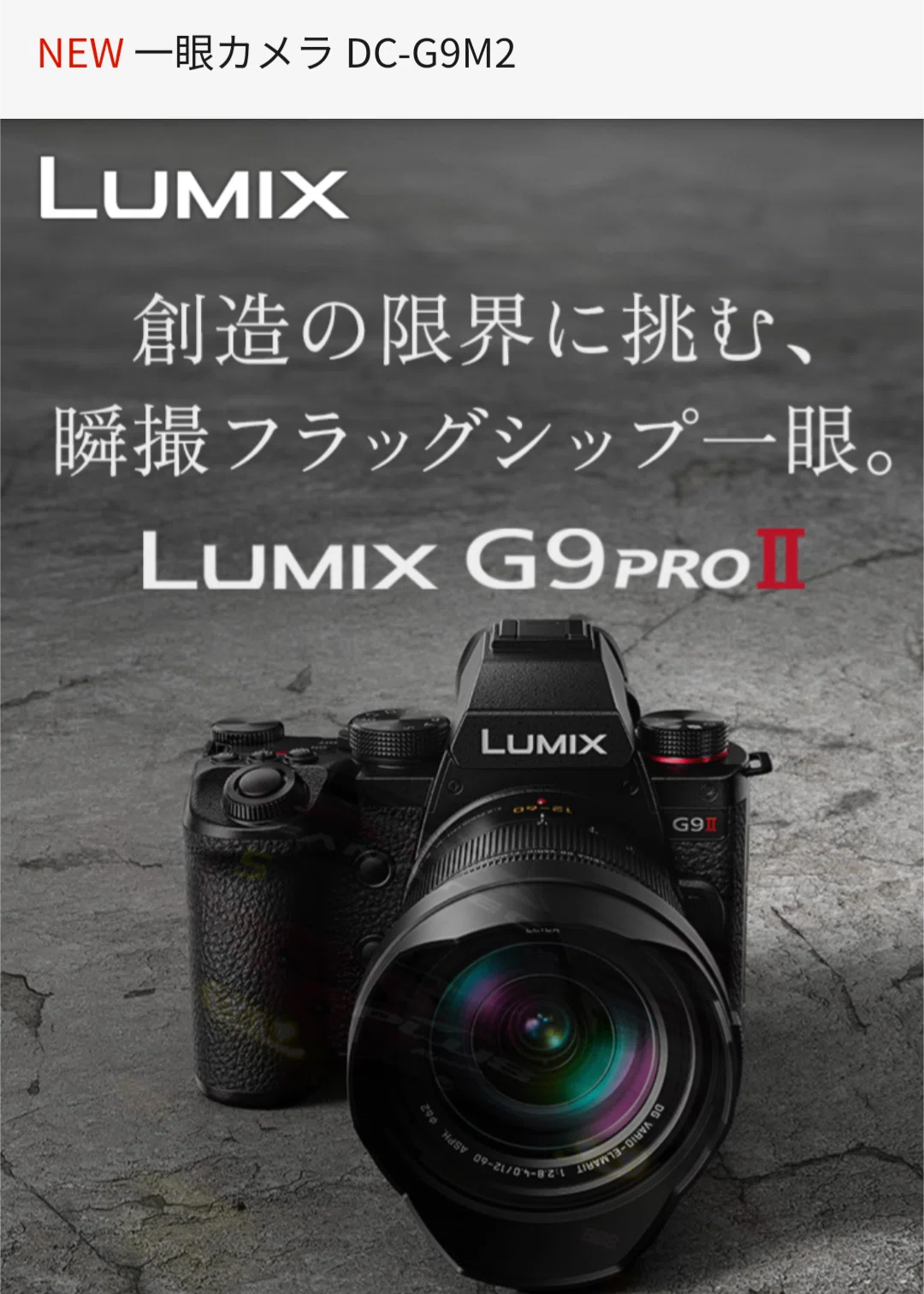 LUMIX】家族の記録やスナップ撮影におすすめのカメラ｜まつ