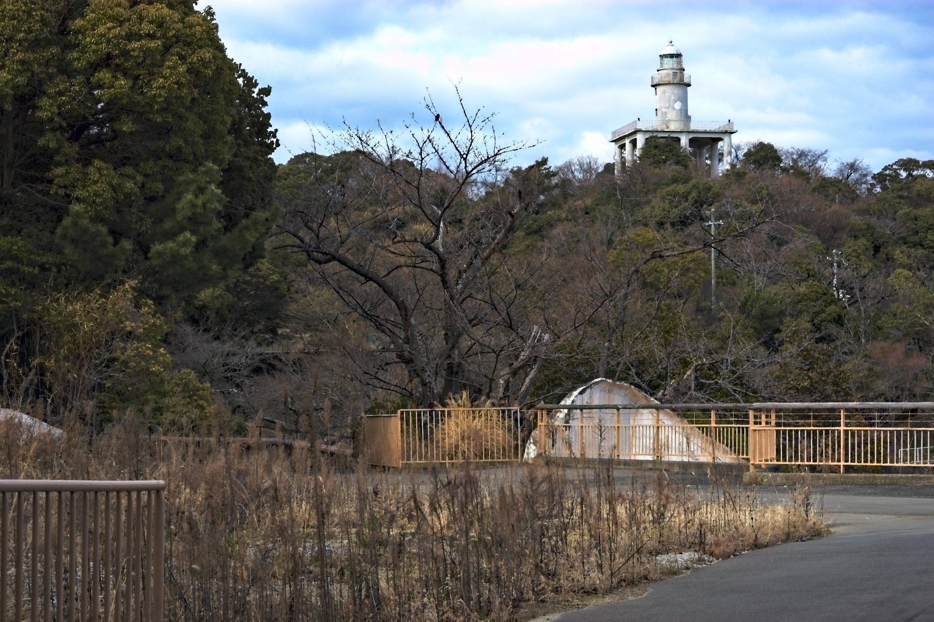 みさき公園の思い出 - 結晶化の結果として｜600万画素の男