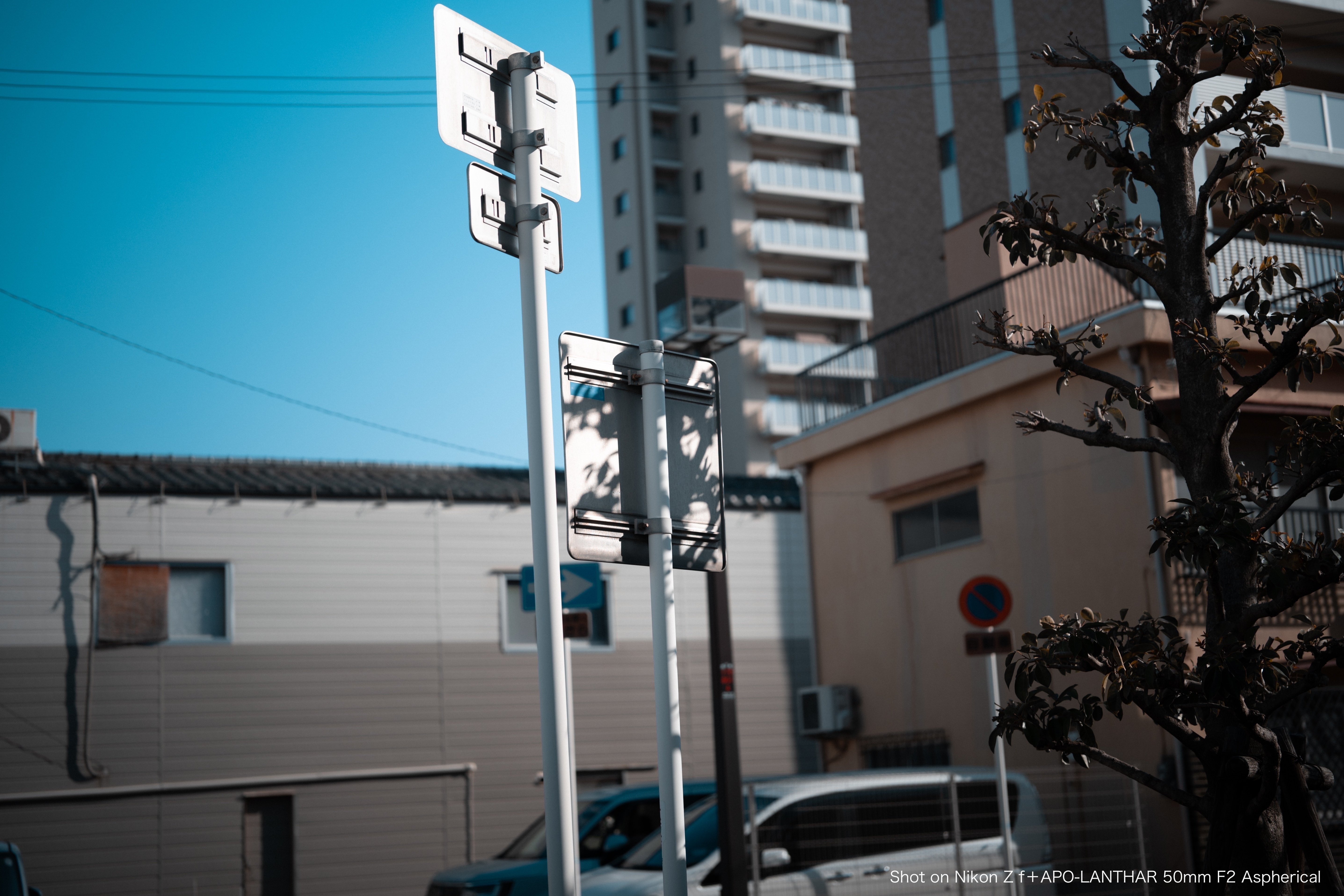 みえてきたZ9とZ fの使い分け｜みかづき