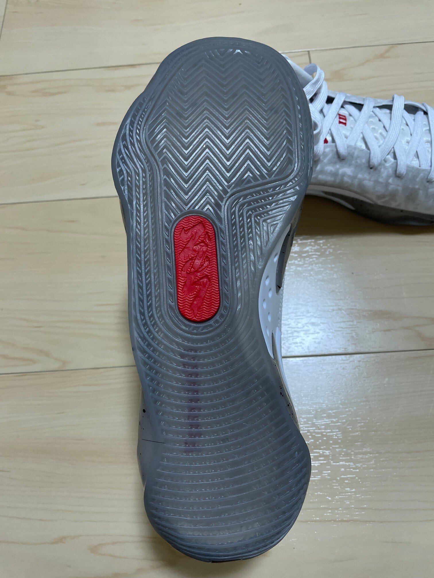 Zion 3 PF Performance Review｜Brankなんとか