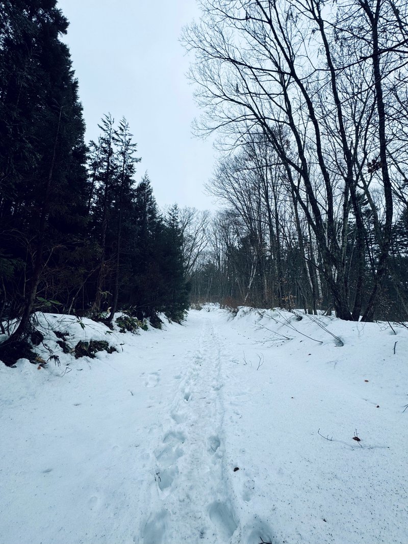 戸隠神社に向かう雪が積もった獣道