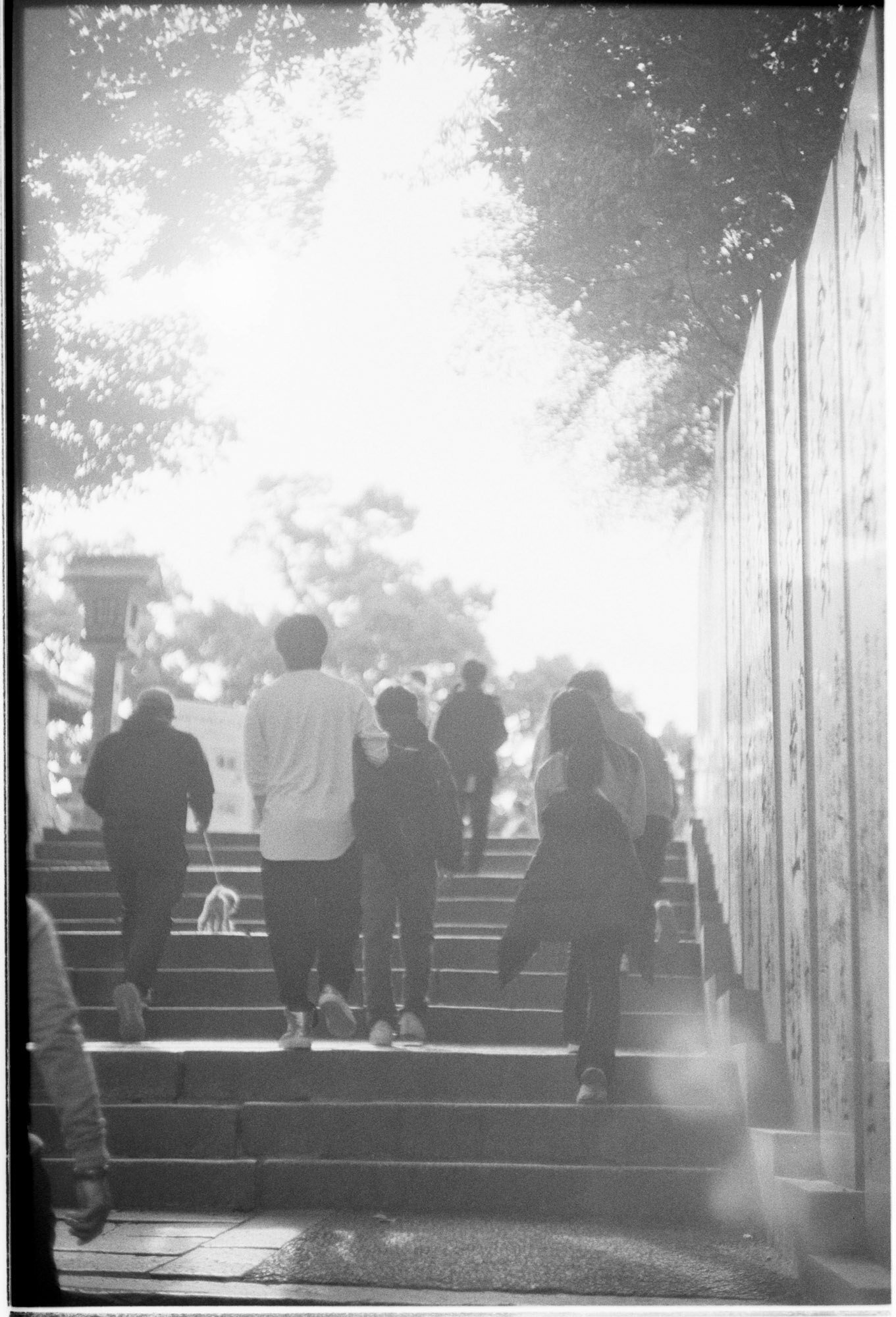 ライカ ズマリット(Leitz Summarit)50mm F1.5 レビュー｜しまなみ