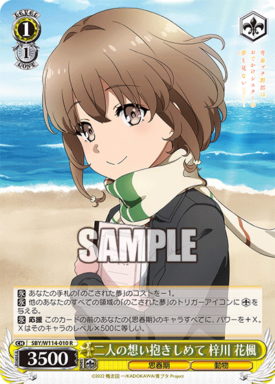 スリーブコレクション ハイグレード Vol.4317 青春ブタ野郎は