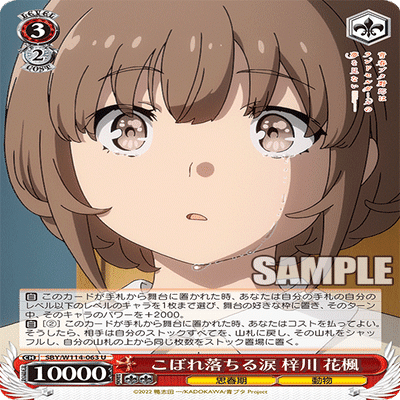 青ブタ研究報告書（梓川 花楓編）｜コマリックス