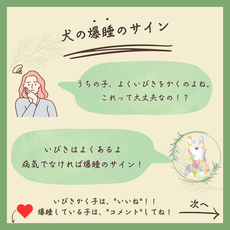 【安心している寝る姿勢】犬の爆睡のサインについて