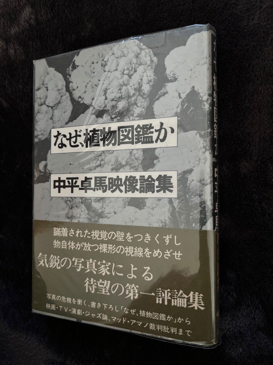 逗子、写真家中平卓馬への路(中川道夫インタビュー)|新MiUra 逗子、写真家中平卓馬への路(中川道夫インタビュー)|新MiUra