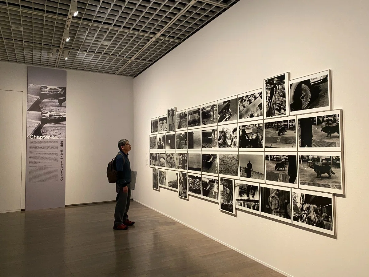 逗子、写真家中平卓馬への路（中川道夫インタビュー）｜新MiUra風土記