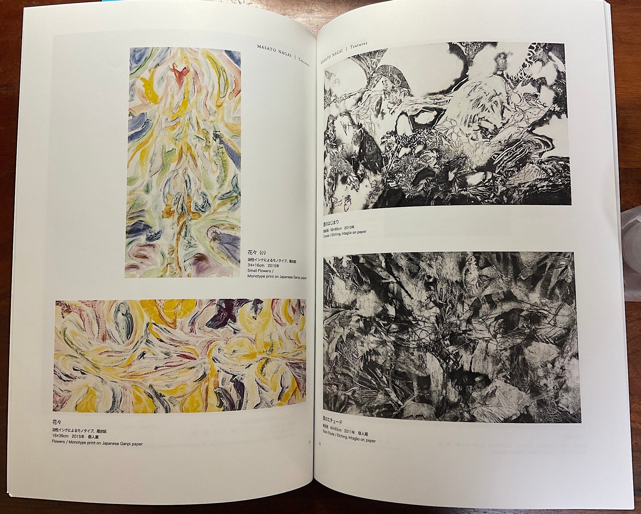 NEW MATERIAL AS NEW MEDIA/アートブック 作品集 洋書