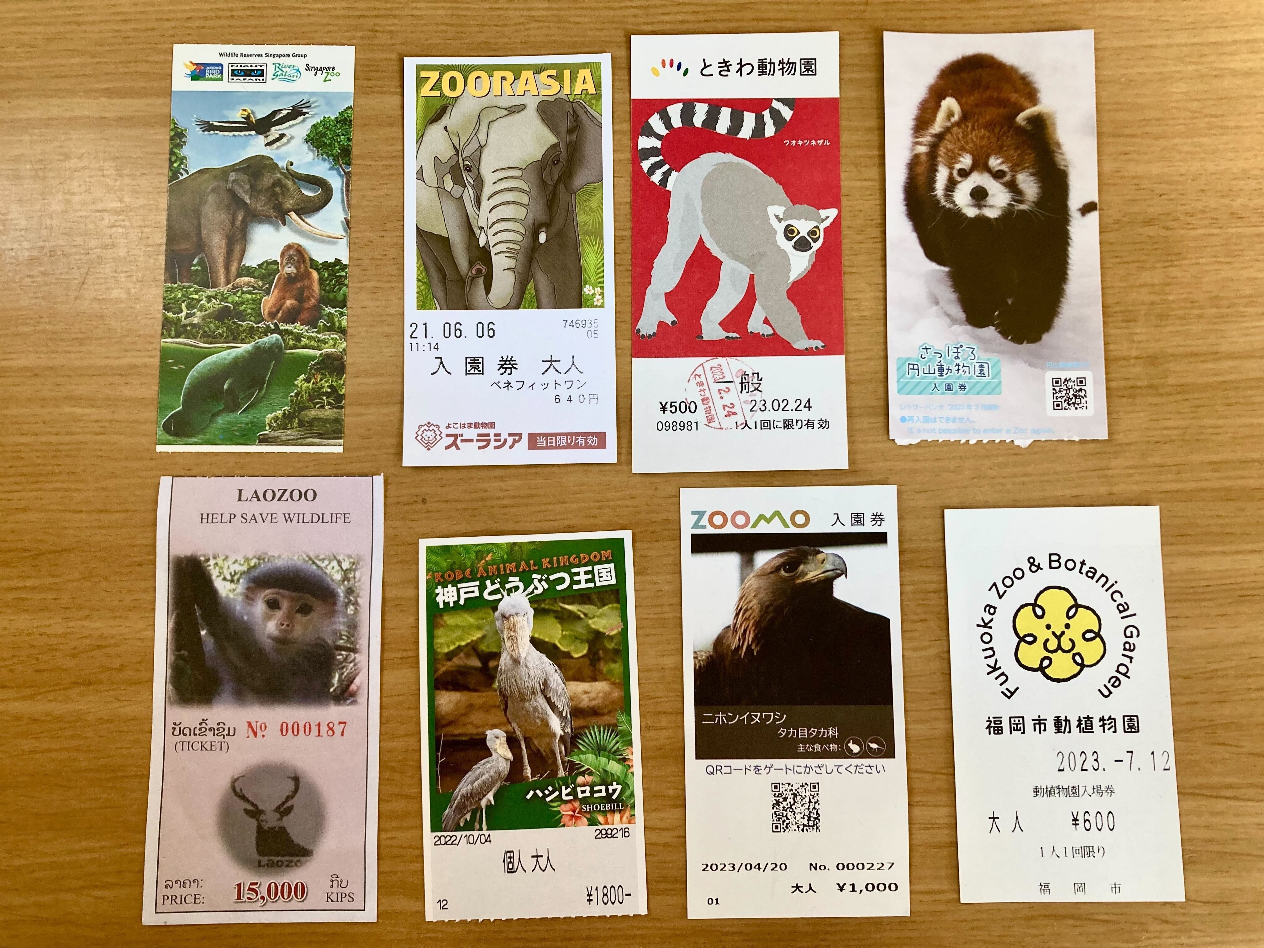 〇〇〇の知らない動物園チケットの世界｜Mamo｜動物旅人