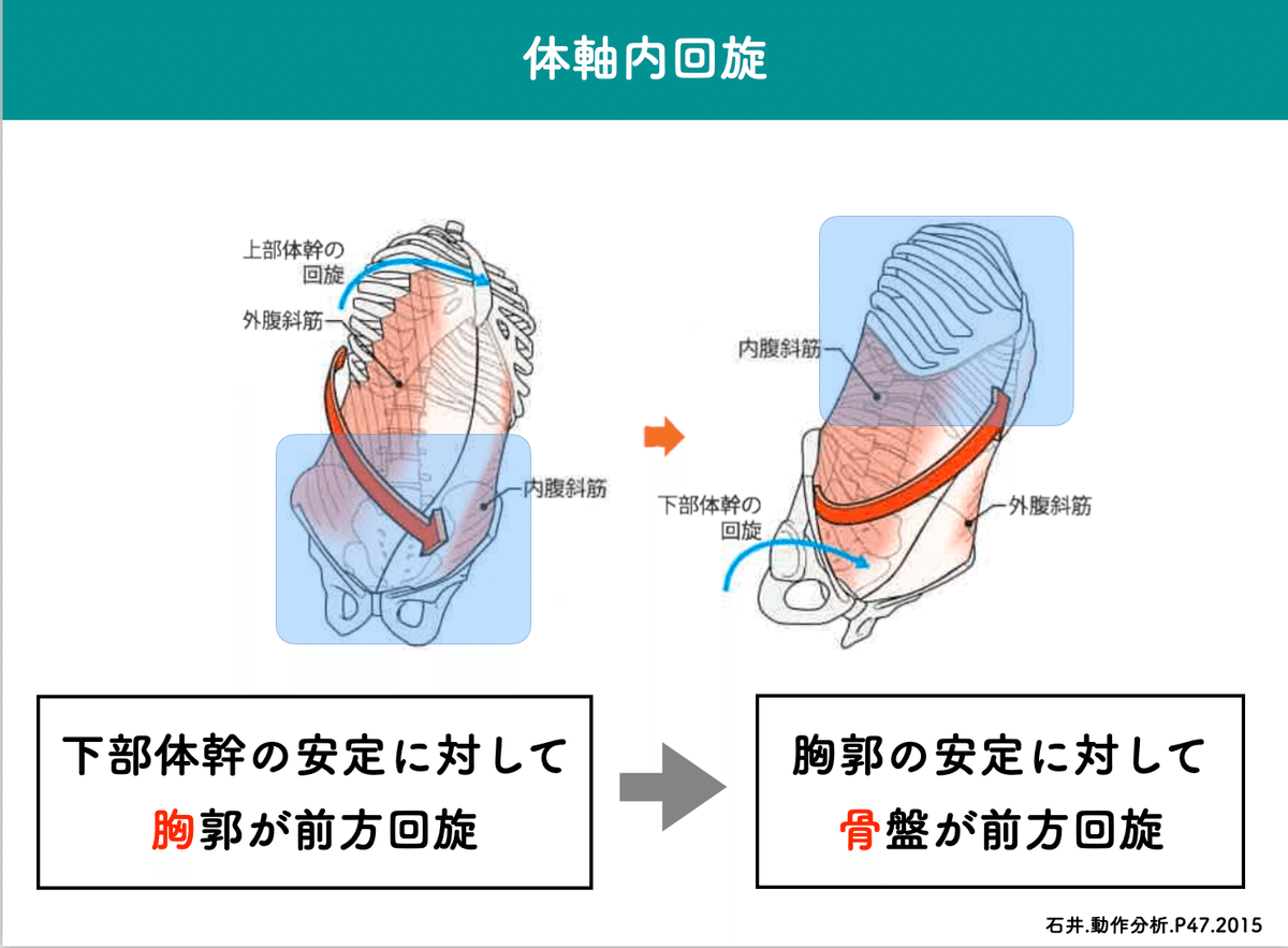 研修報告-15」：【起居動作】治療介入のポイント：継承塾