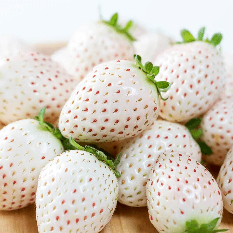 幻の白いちご】気になるお味と人気の品種は？！絶品スイーツもご紹介