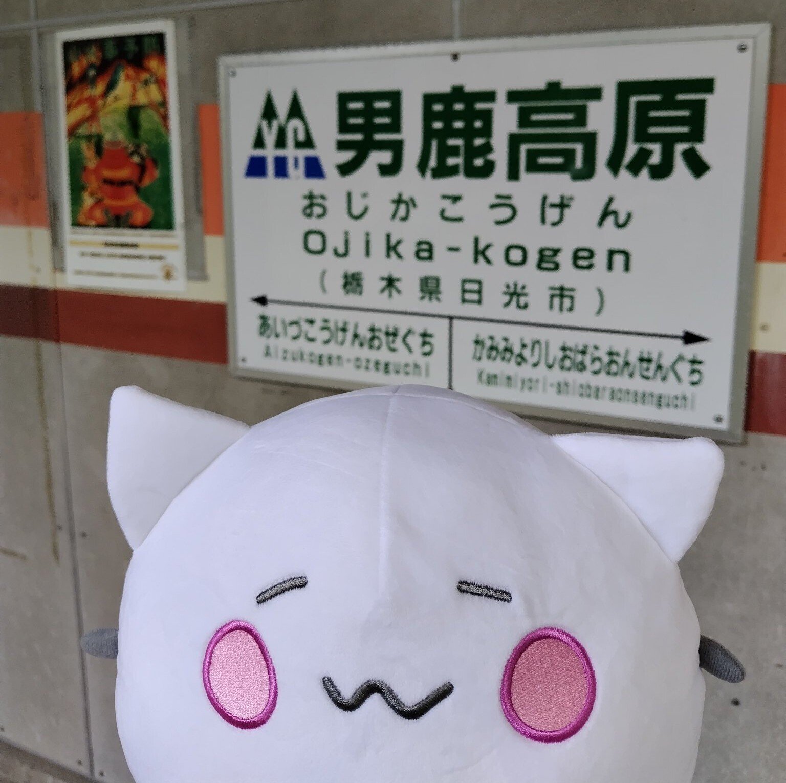 自己紹介！｜なゆらぴ