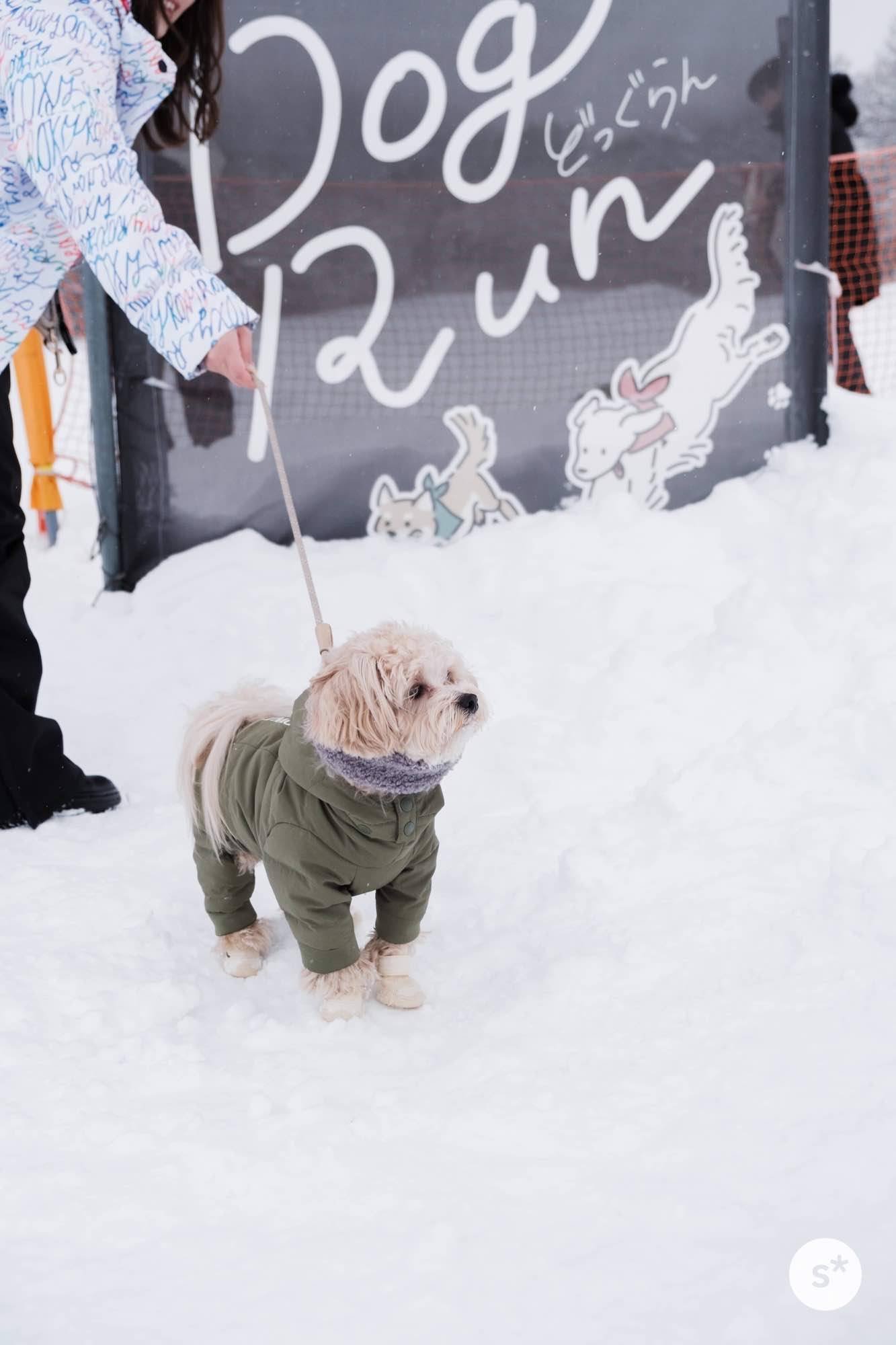rifruf 犬靴  0サイズ　アイボリー rifruf 犬靴 0サイズ アイボリー（犬に靴が必要？ 高品質な