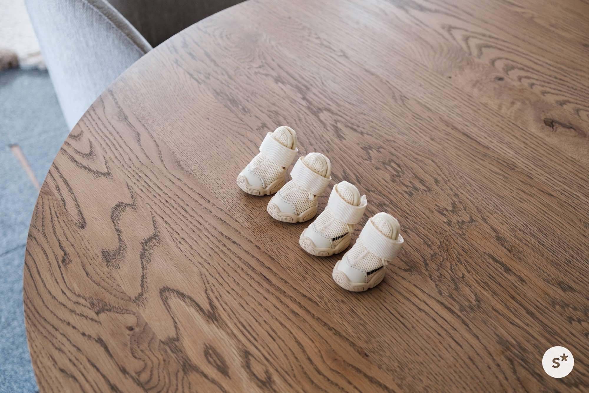 犬に靴が必要？ 高品質な「RIFRUFドッグスニーカー」で足を守ろう