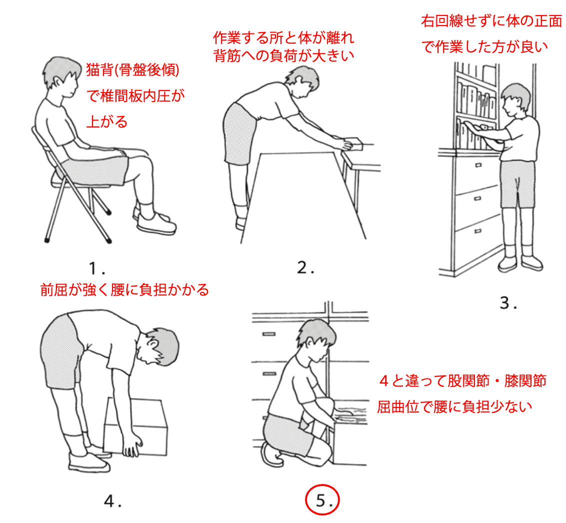 理学療法マネジメント（5種:脊柱、肩、股、膝、足） メジカルビュー社 | 理学療法マネジメント