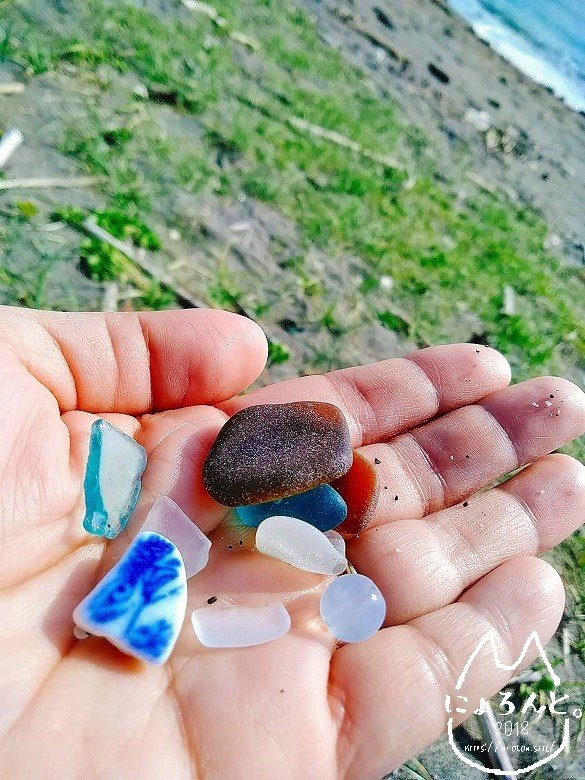 宝貝に陶片、シーグラス！房総半島・元名海岸でビーチコーミング