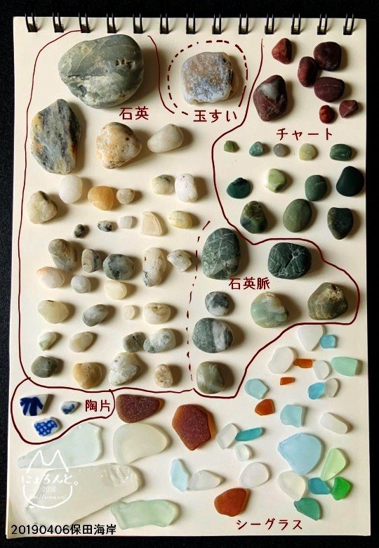石英と玉すい、チャートの宝庫！房総・保田海岸でビーチコーミング