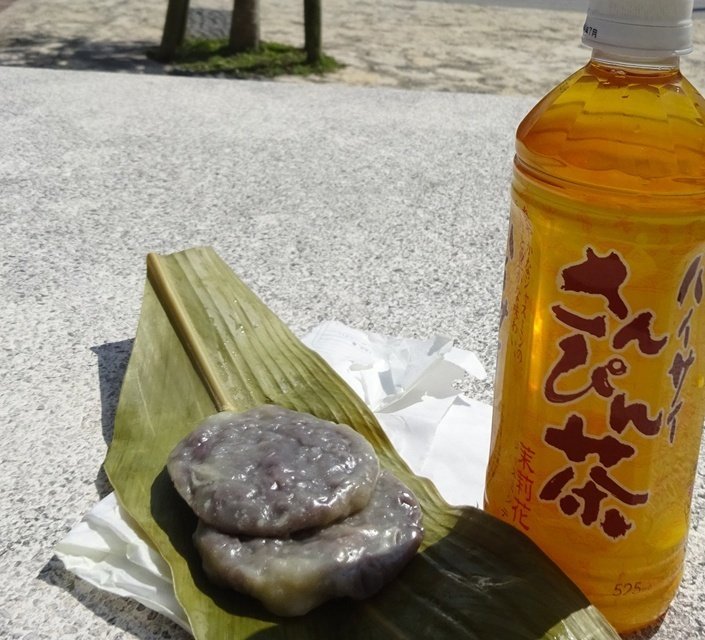 沖縄のアンツクを求めて（石垣島編）｜ichico-山奥で草を編む人