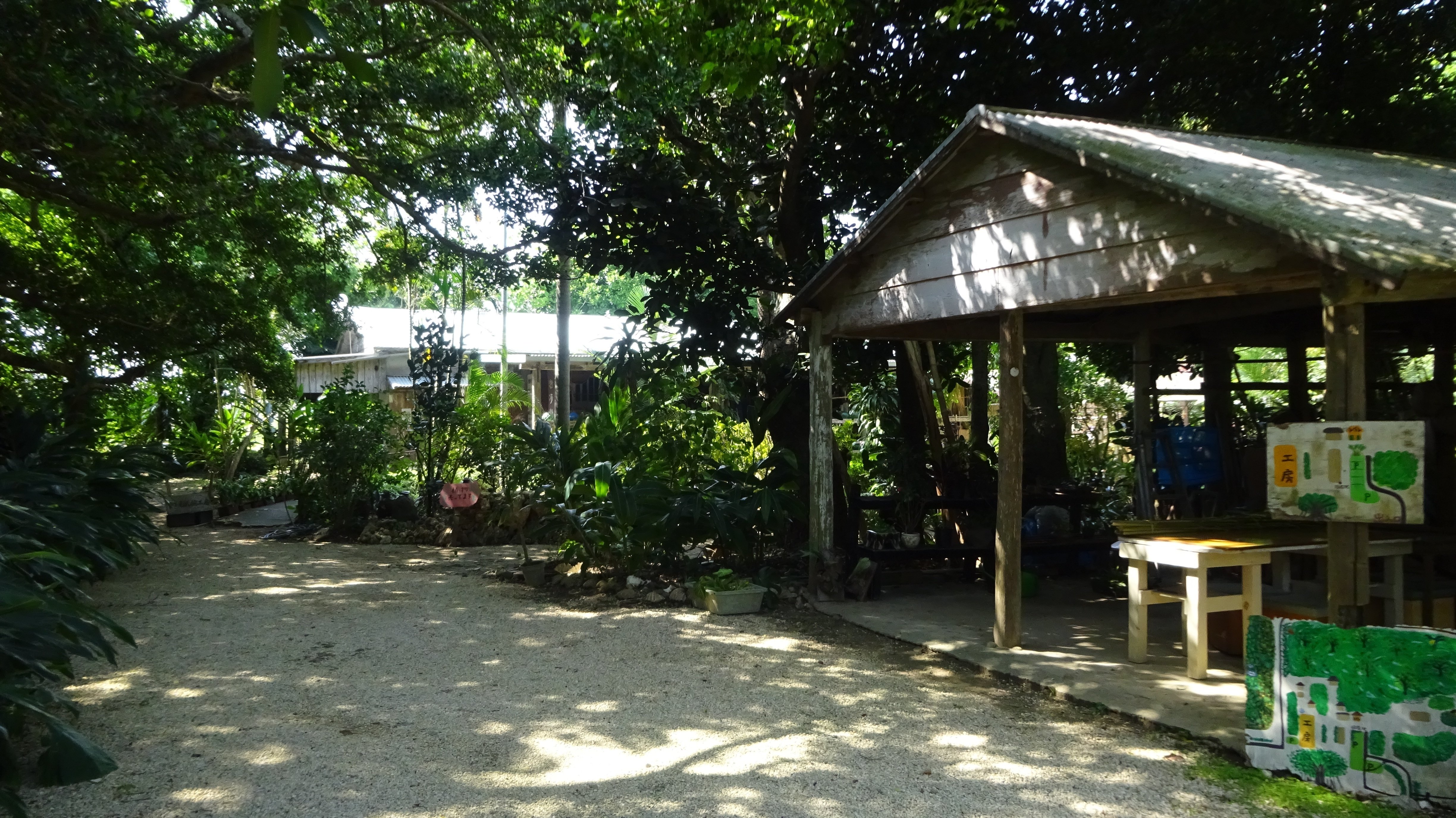 沖縄のアンツクを求めて（石垣島編）｜ichico-山奥で草を編む人