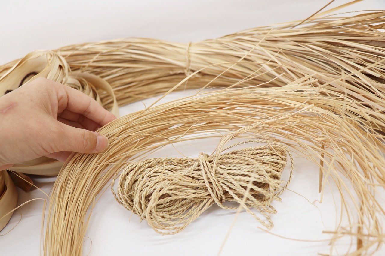 八重山諸島　沖縄　石垣島　アンツク　自生植物のポシェット 沖縄のアンツクを求めて（石垣島編）｜ichico-山奥で草を編む人