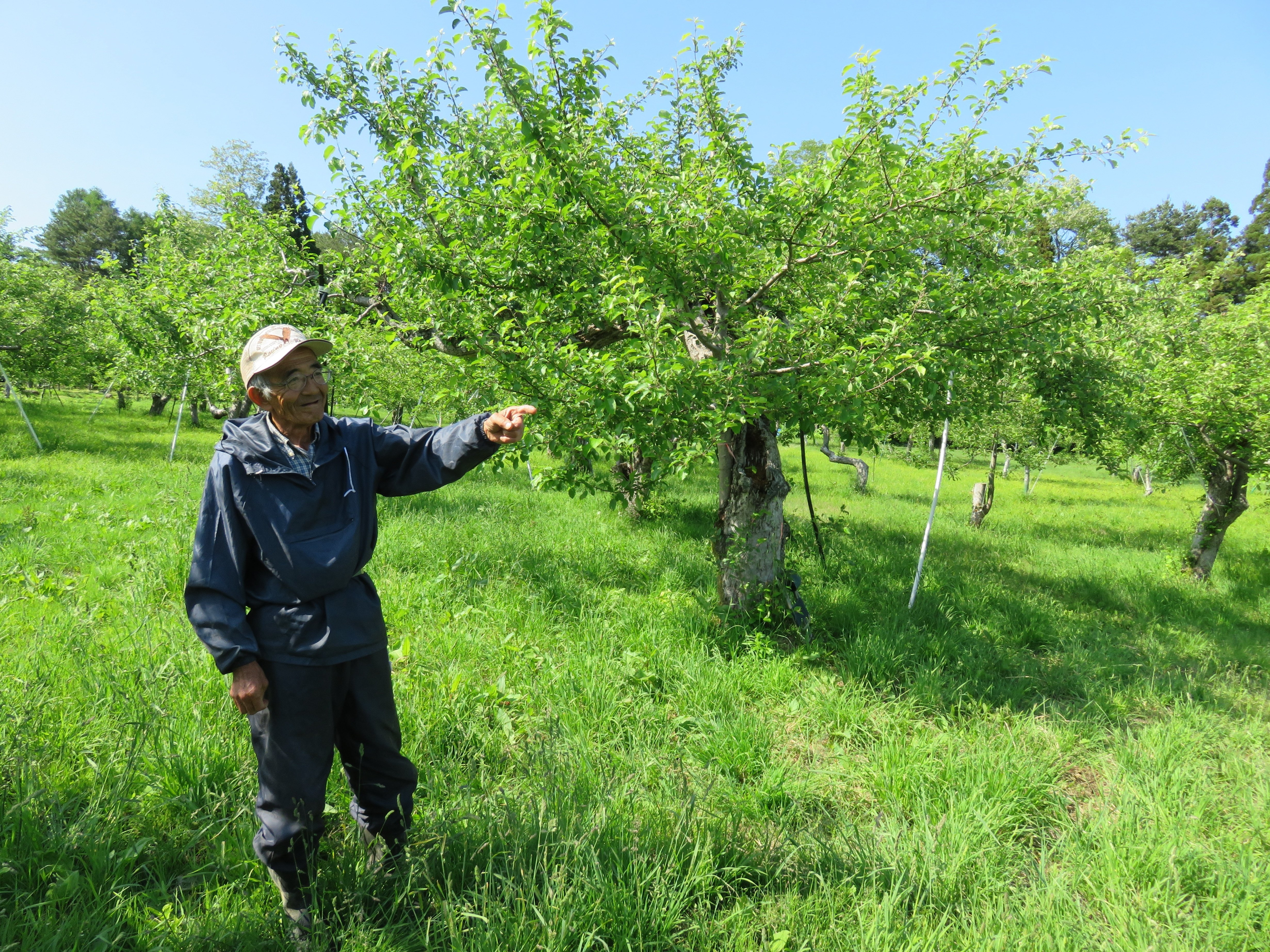 奇跡のリンゴ」で知られる木村秋則さん｜藤田 正雄