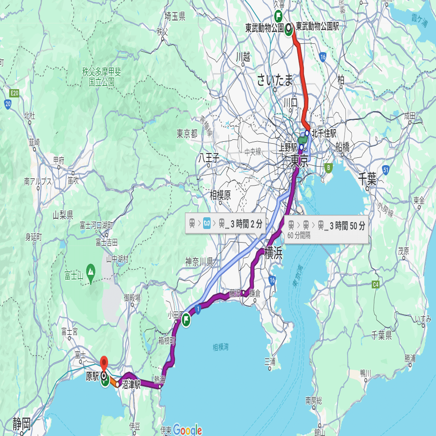 掛川花鳥園で鳥を見てきた話(前編) ～実写版ウイングスパン～｜ジョーイ