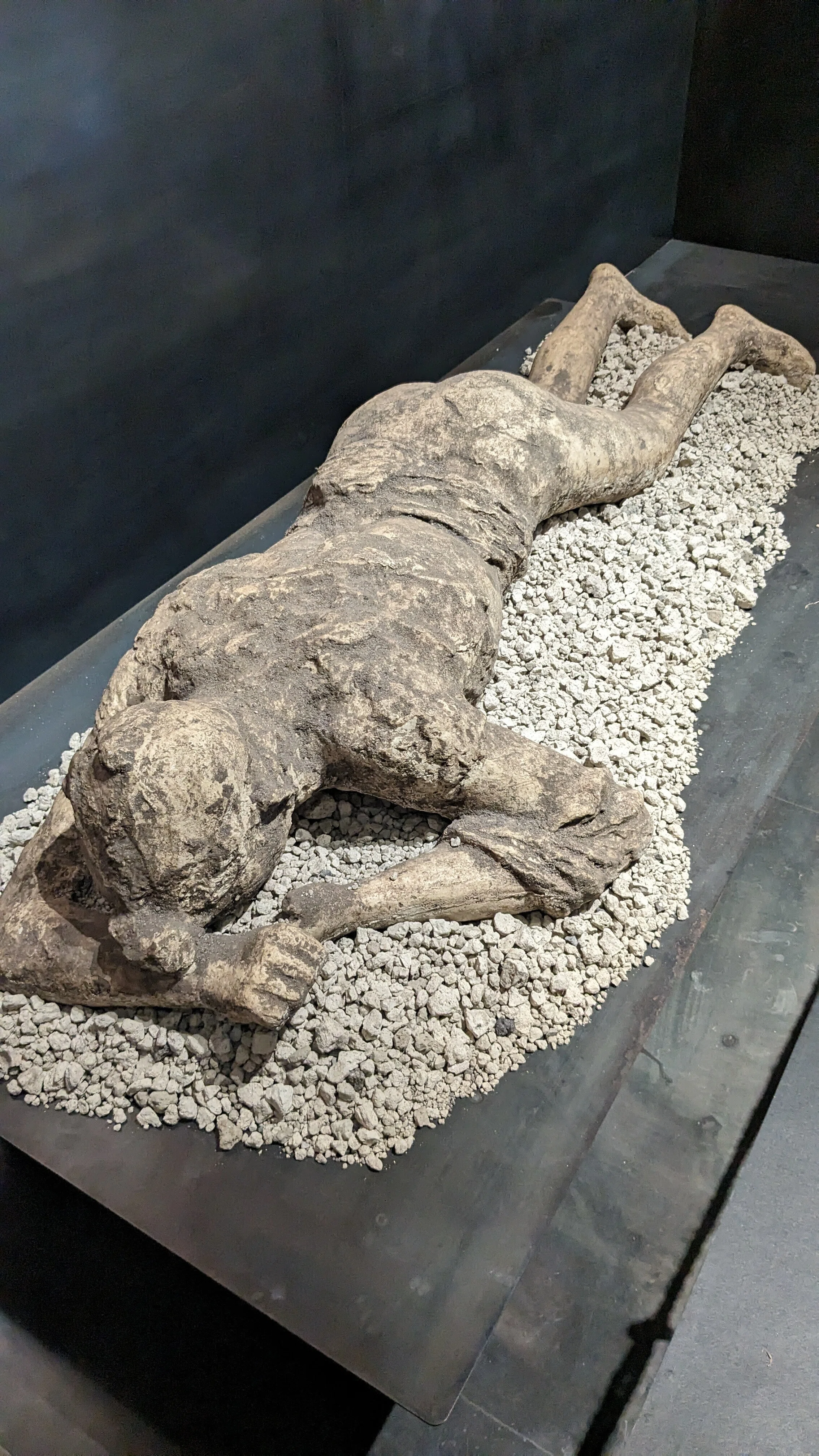 観光の現地で買って来たポンペイの遺跡の本２冊 初めてのイタリア旅行｜ポンペイ遺跡に魅了され(1)｜tofuu