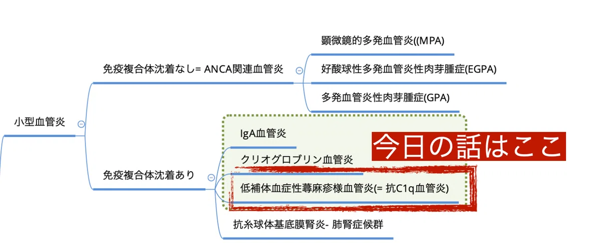 蕁麻疹様血管炎 Urticarial Vasculitis|TAKENOUCHI M.D.