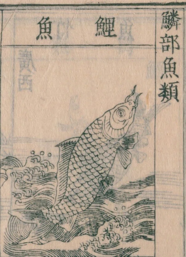 ⚫️魚の絵 コレクター 和紙ちぎり絵 縁起物 双鯉図 双鯉図 文化遺産オンライン