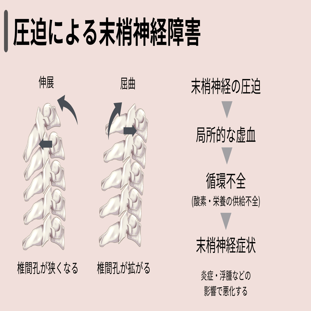 上肢の絞扼性神経障害の治療戦略｜小林龍樹＠理学療法士