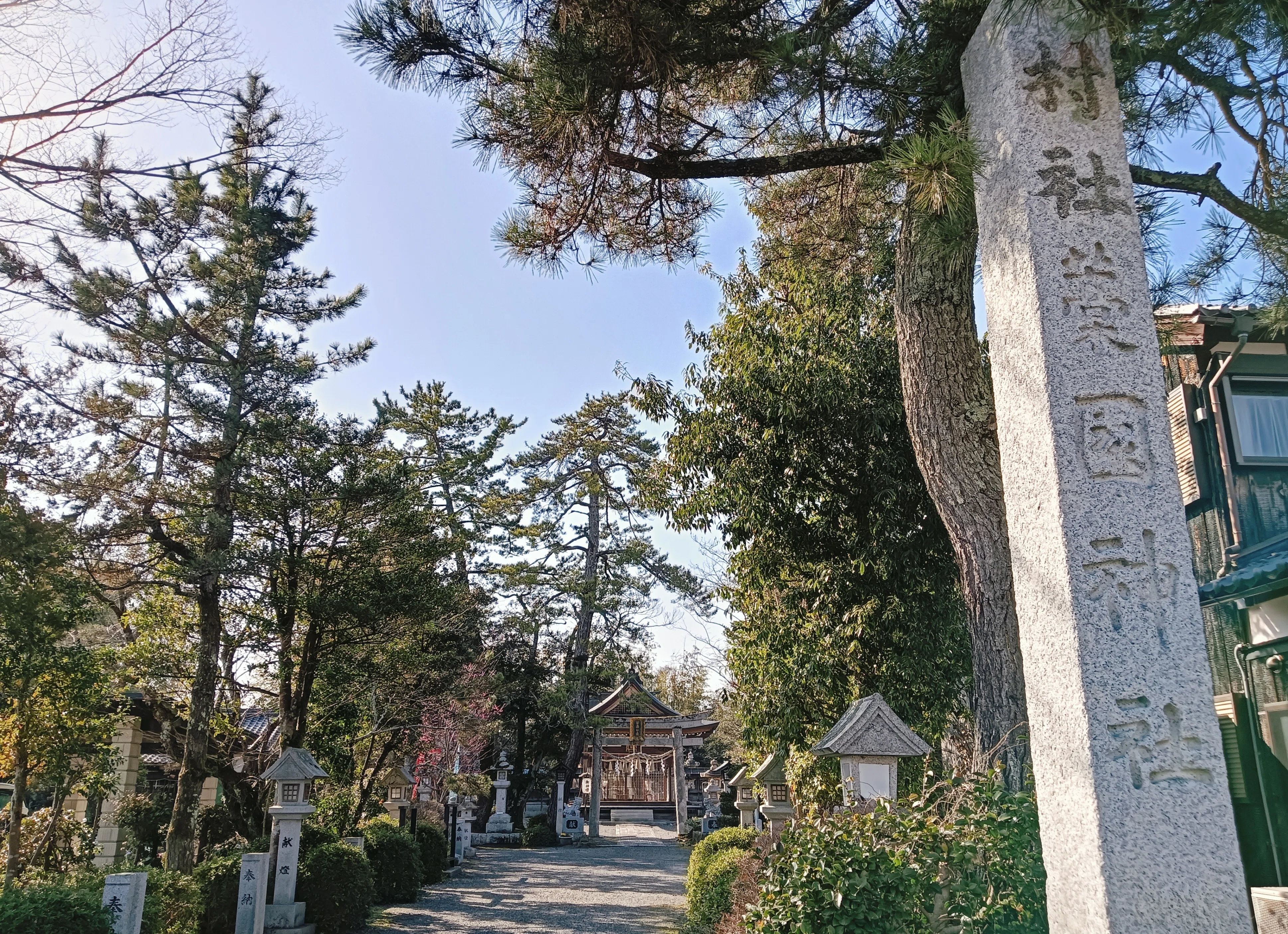 滋賀の神社巡り～藁園神社となまず｜ゆり