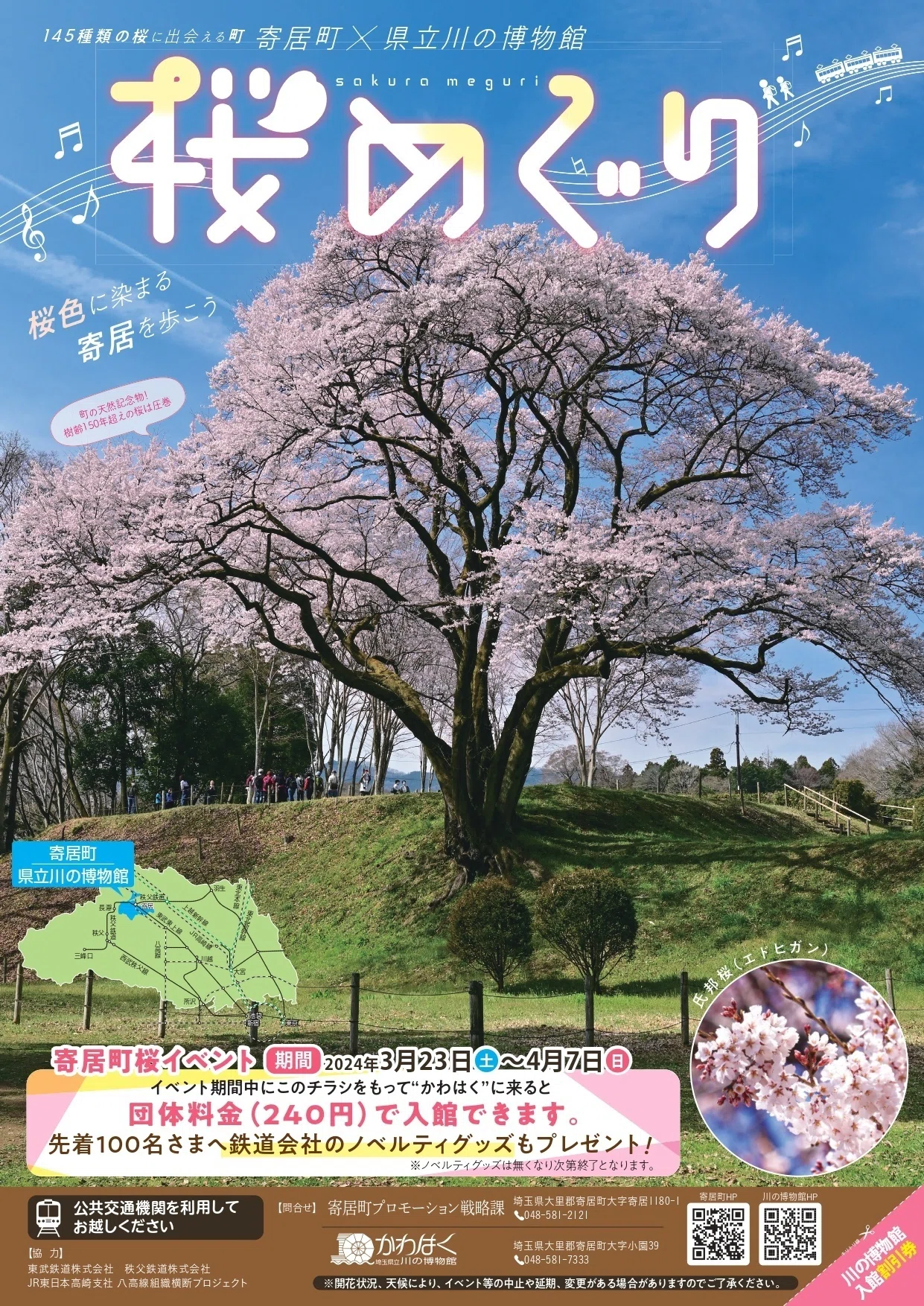 桜色に染まる町をめぐる～春を告げる桜たち～｜寄居まちづくりNOTE