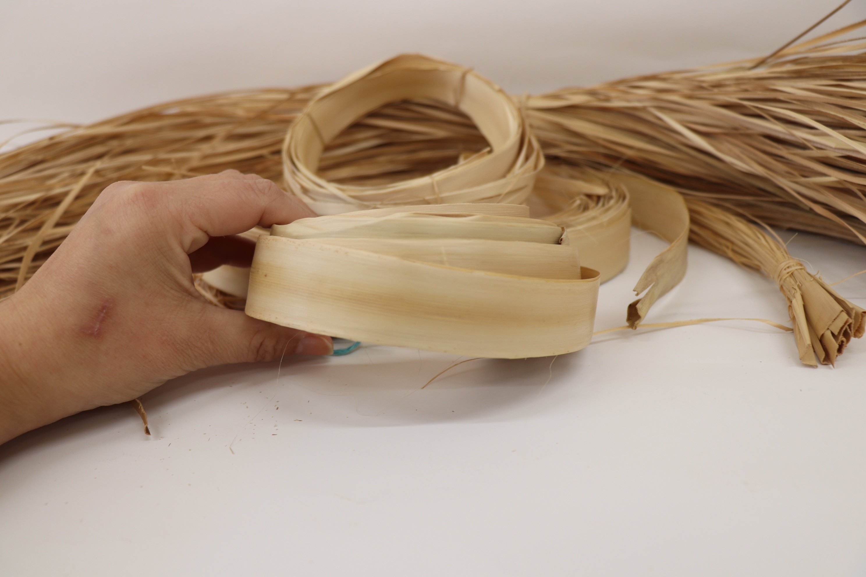 沖縄のアンツクを求めて（石垣島編）｜ichico-山奥で草を編む人