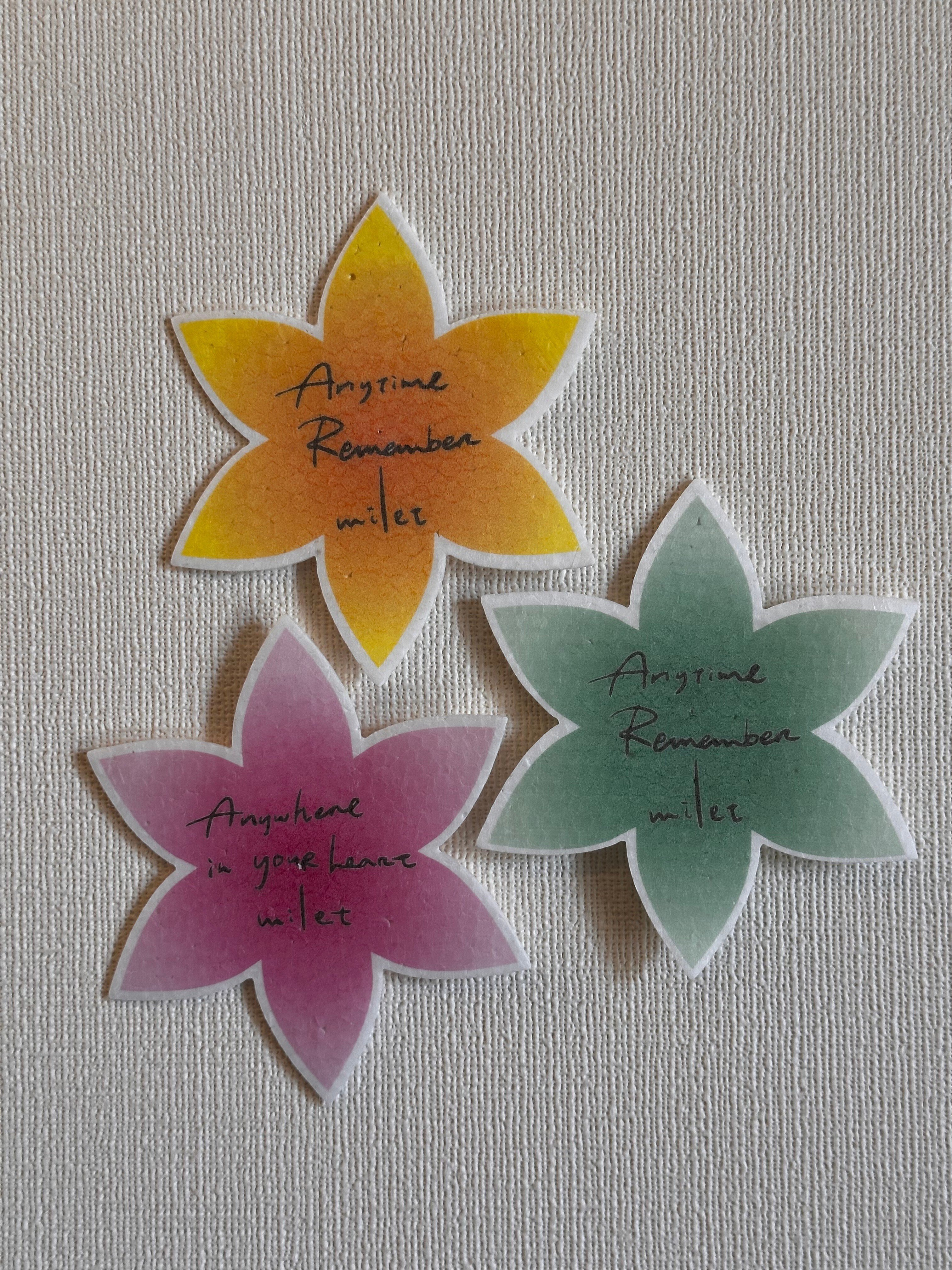 milet 5th anniversary live “GREEN LIGHTS” 2024.3.19-20｜milet