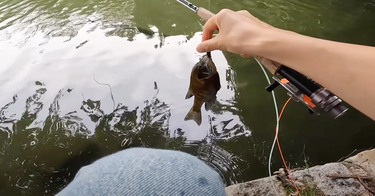 バス釣りに使える“秘密