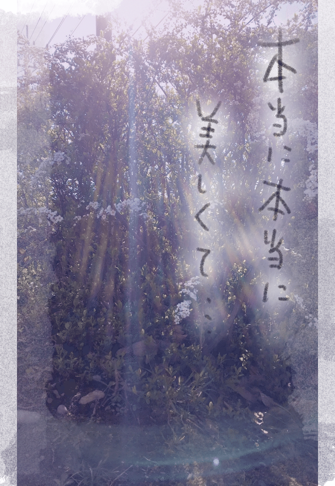 画像20