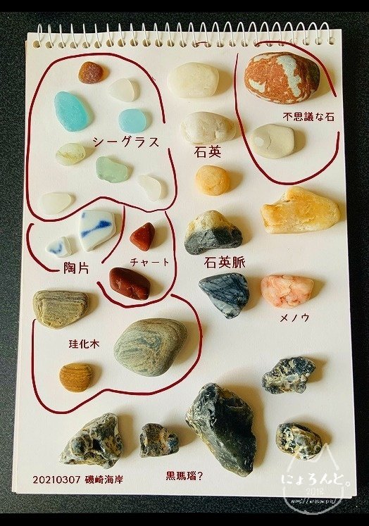 沖縄で拾った人みたいな石