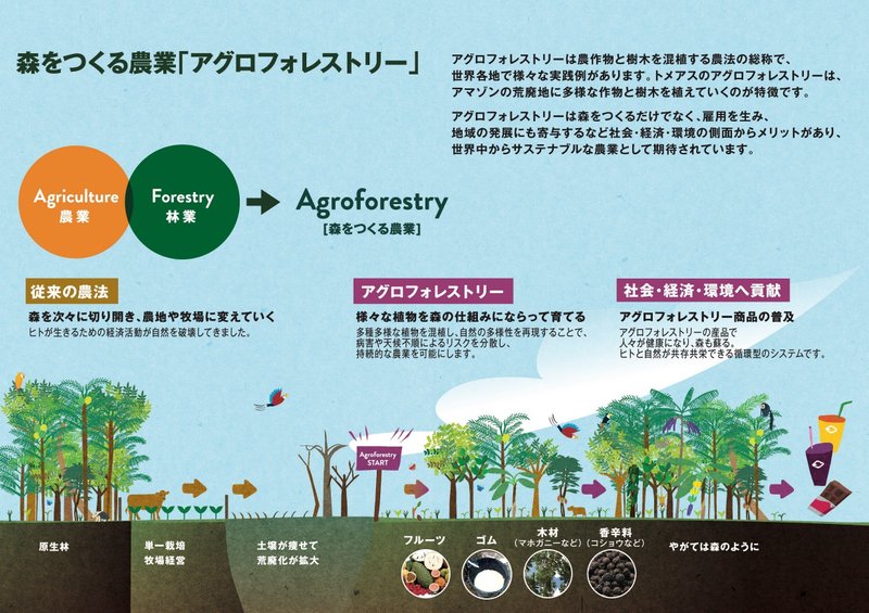 森をつくる農業（アグロフォレストリー）説明