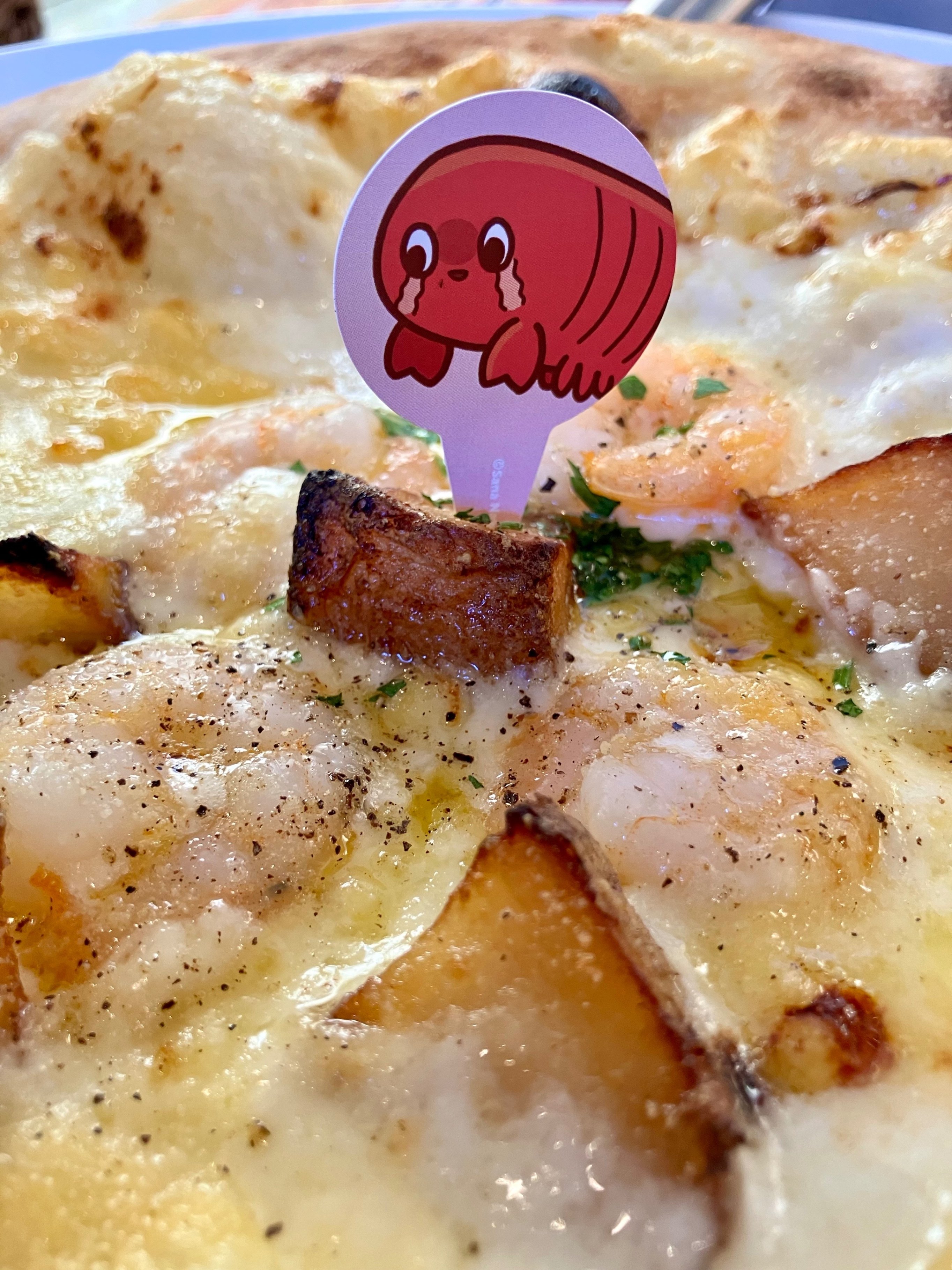 敗北を知りたい：さなのばくたん。2024-現地レポ-｜ぱとぅるじゃん🍆