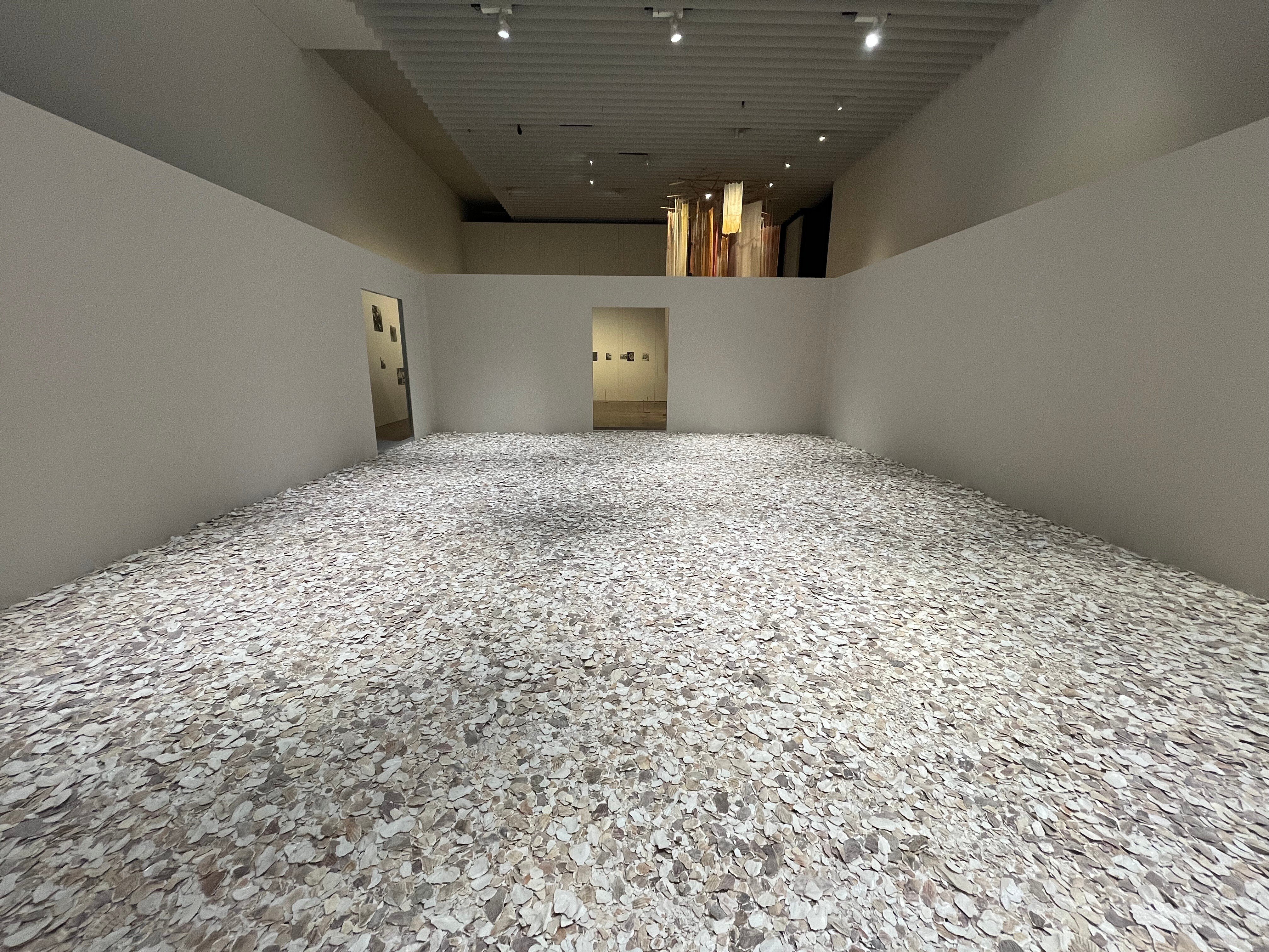 私たちのエコロジー展】 現代アートが語る環境危機（森美術館）｜Ryan