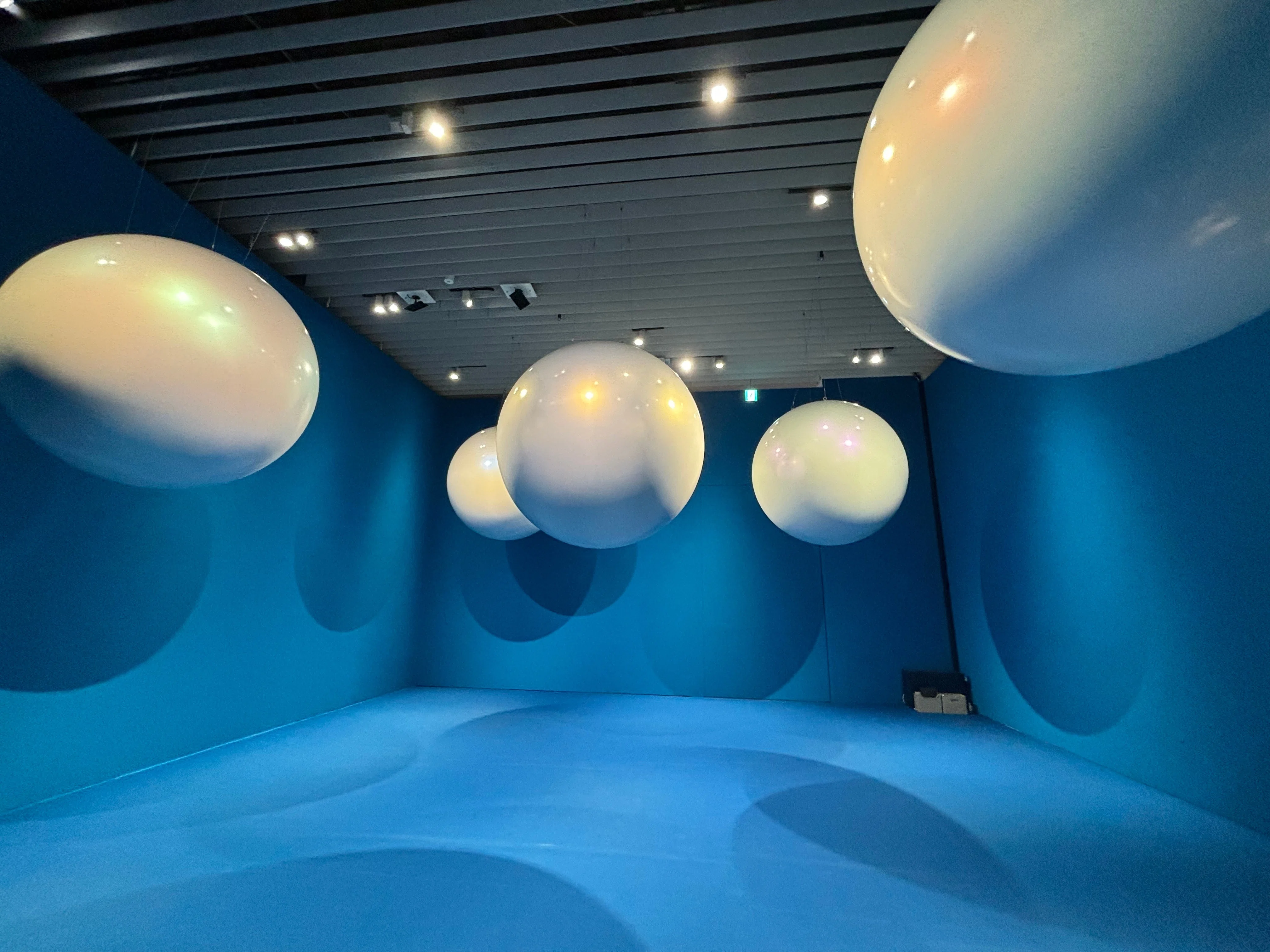 私たちのエコロジー展】 現代アートが語る環境危機（森美術館）｜Ryan