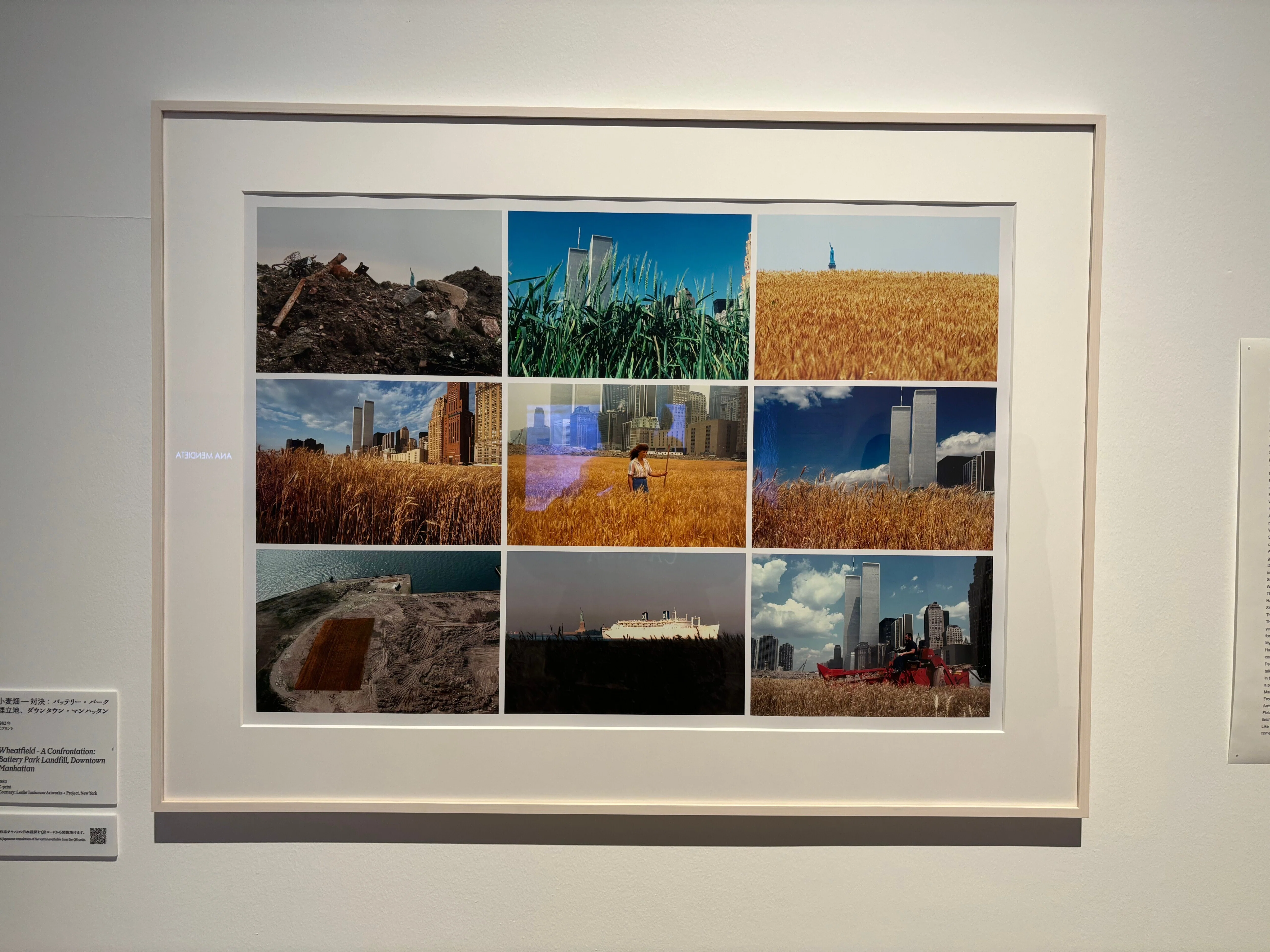 私たちのエコロジー展】 現代アートが語る環境危機（森美術館）｜Ryan