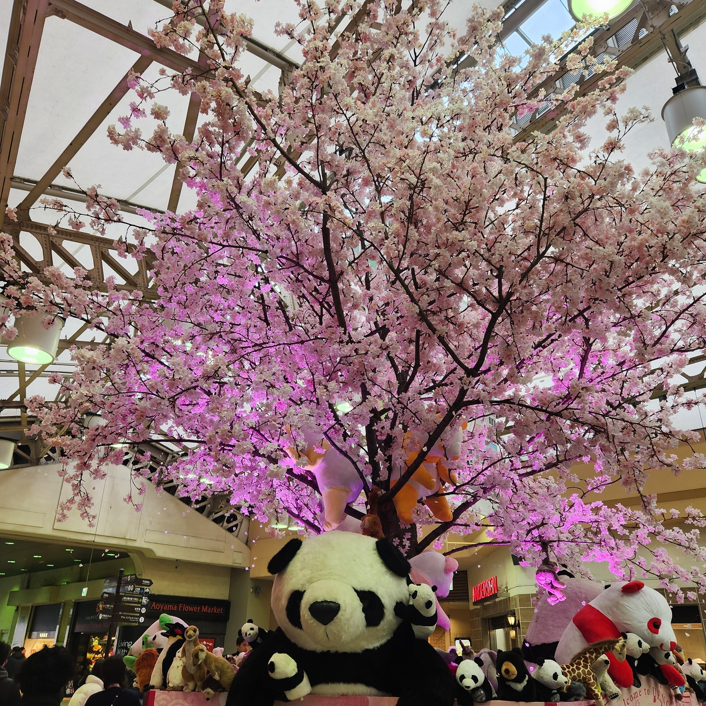 【超歓迎】 2024年3月21日(木)☆上野駅に桜とパンダが咲きみだれ🌸🐼🌸｜な パーツ