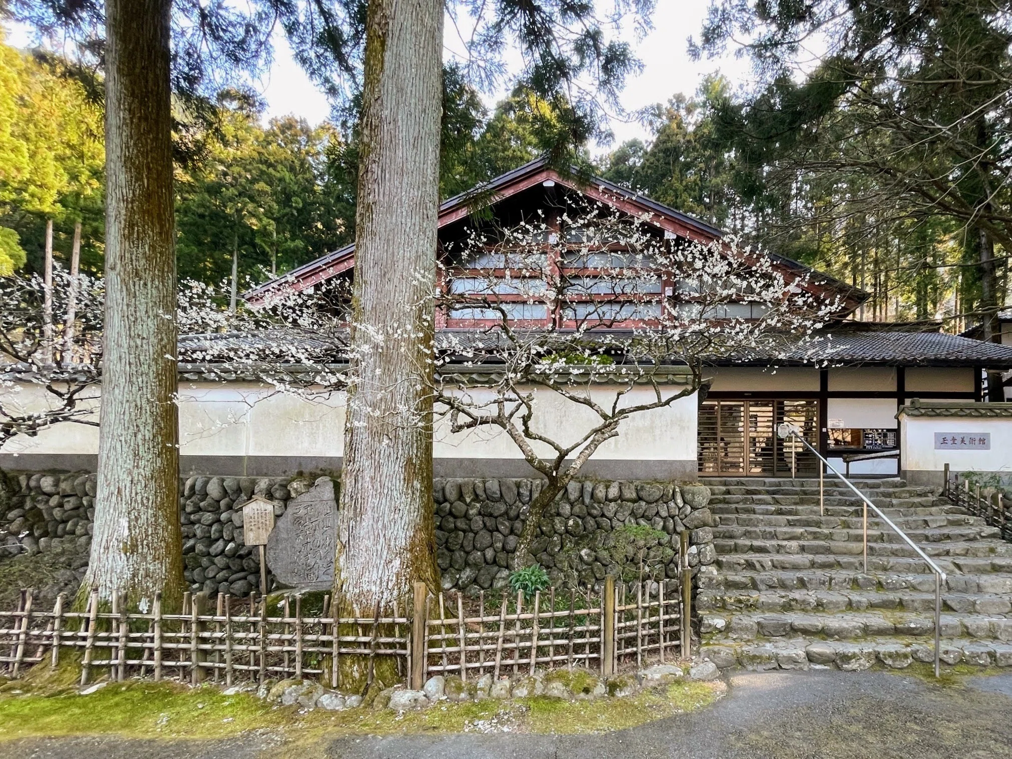 玉堂の描く「鳥」展 ／玉堂美術館｜美術館とお寺と猫