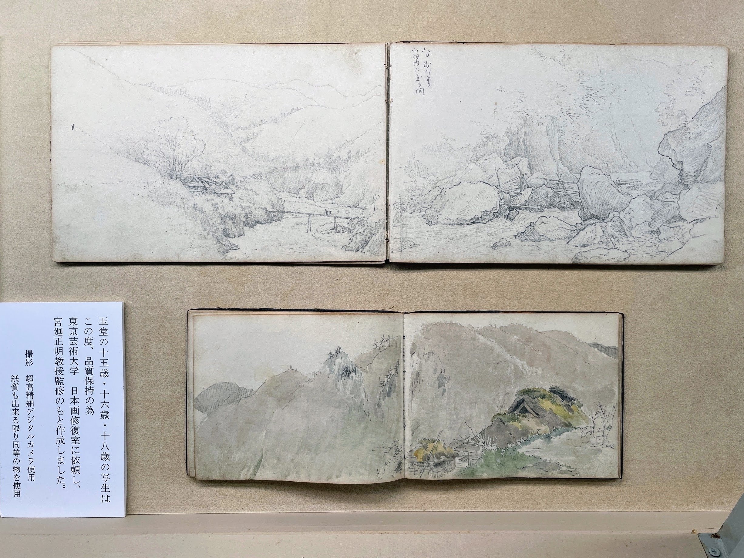 玉堂の描く「鳥」展 ／玉堂美術館｜美術館とお寺と猫