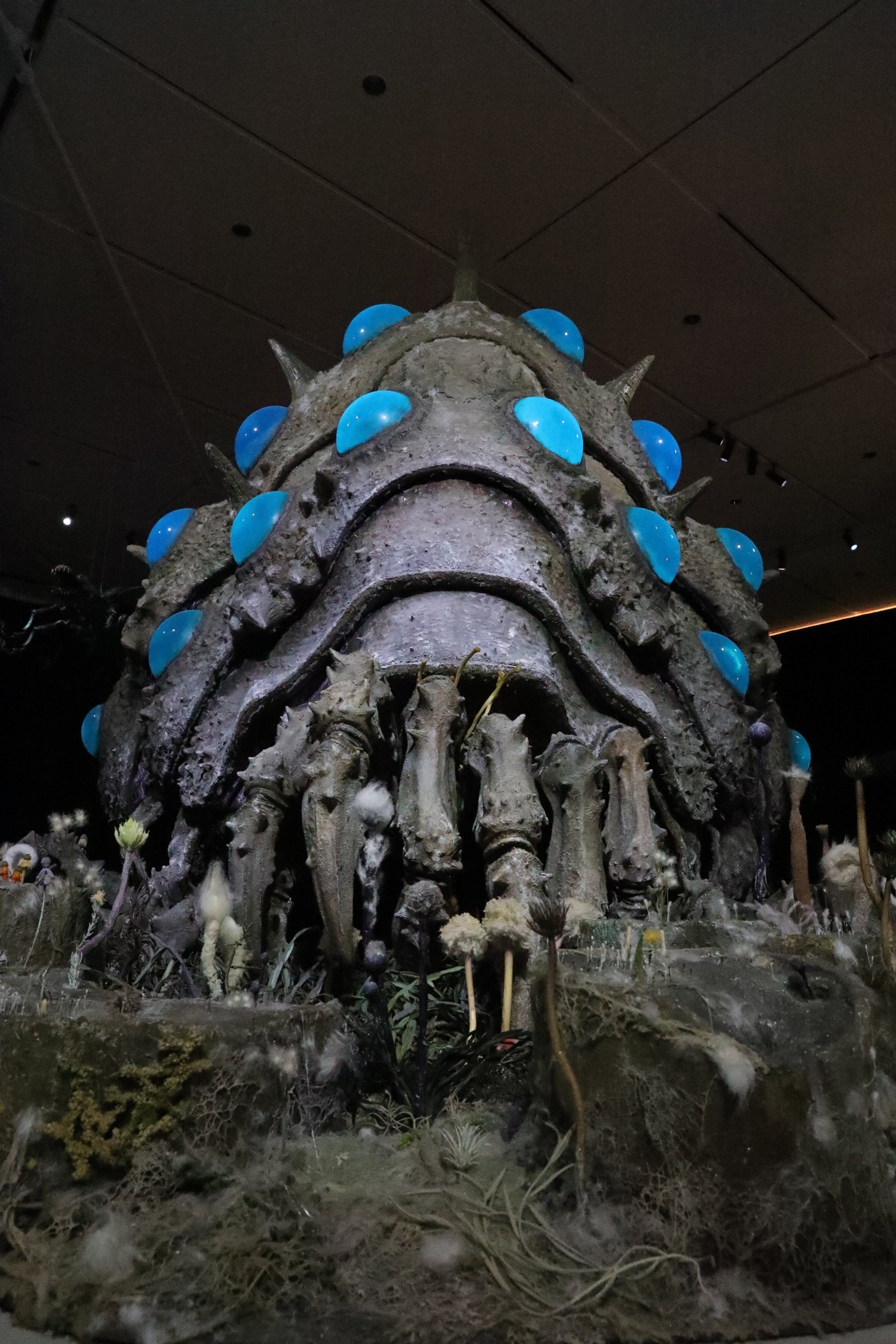 ジブリと縁のある八ヶ岳｜ビター｜元リゾナーレスタッフ